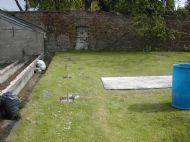 Polytunnel 1